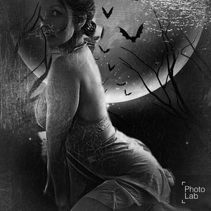 Meet your Posher, Ariel